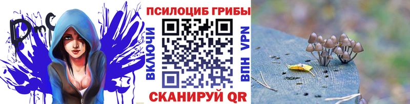 купить наркотик  Чекалин  Галлюциногенные грибы Magic Shrooms 