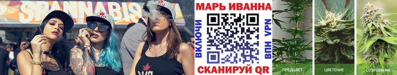 Бошки марихуана сатива  Чекалин 